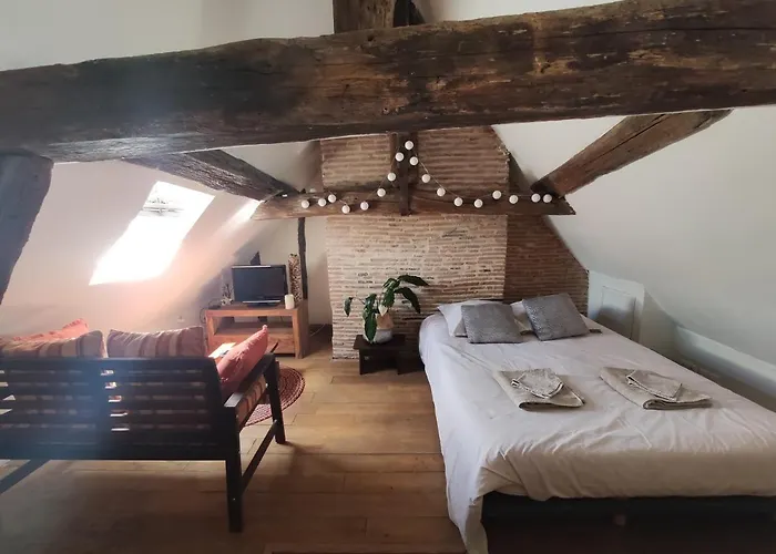 דירה Habitation Saint-clar Vieille ברגרק